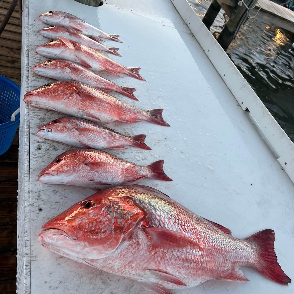 Fishing in Destin
