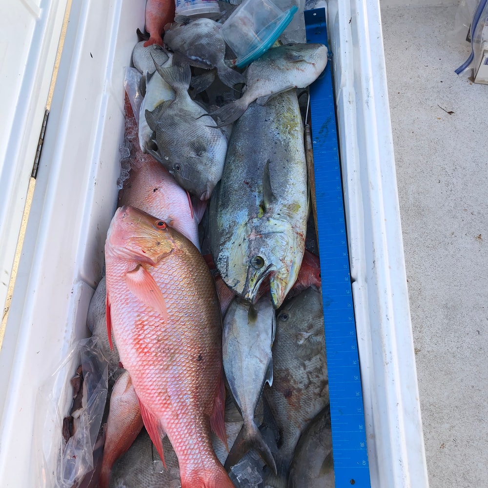 Fishing in Destin