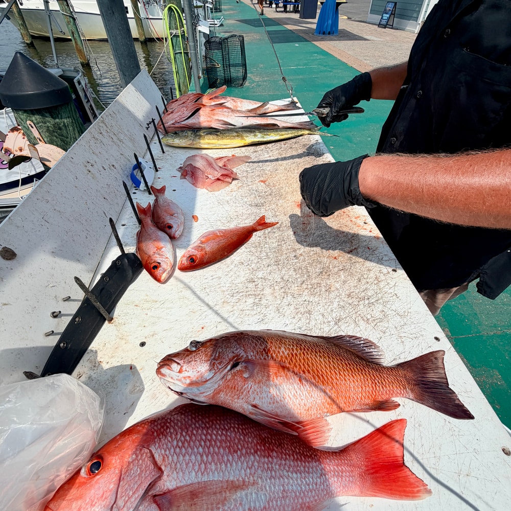 Fishing in Destin