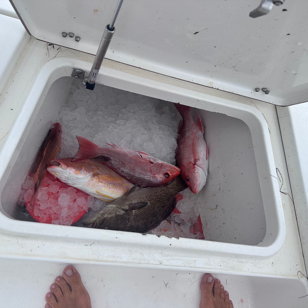 Fishing in Destin