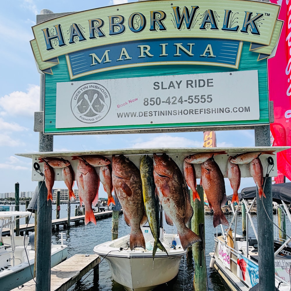 Fishing in Destin