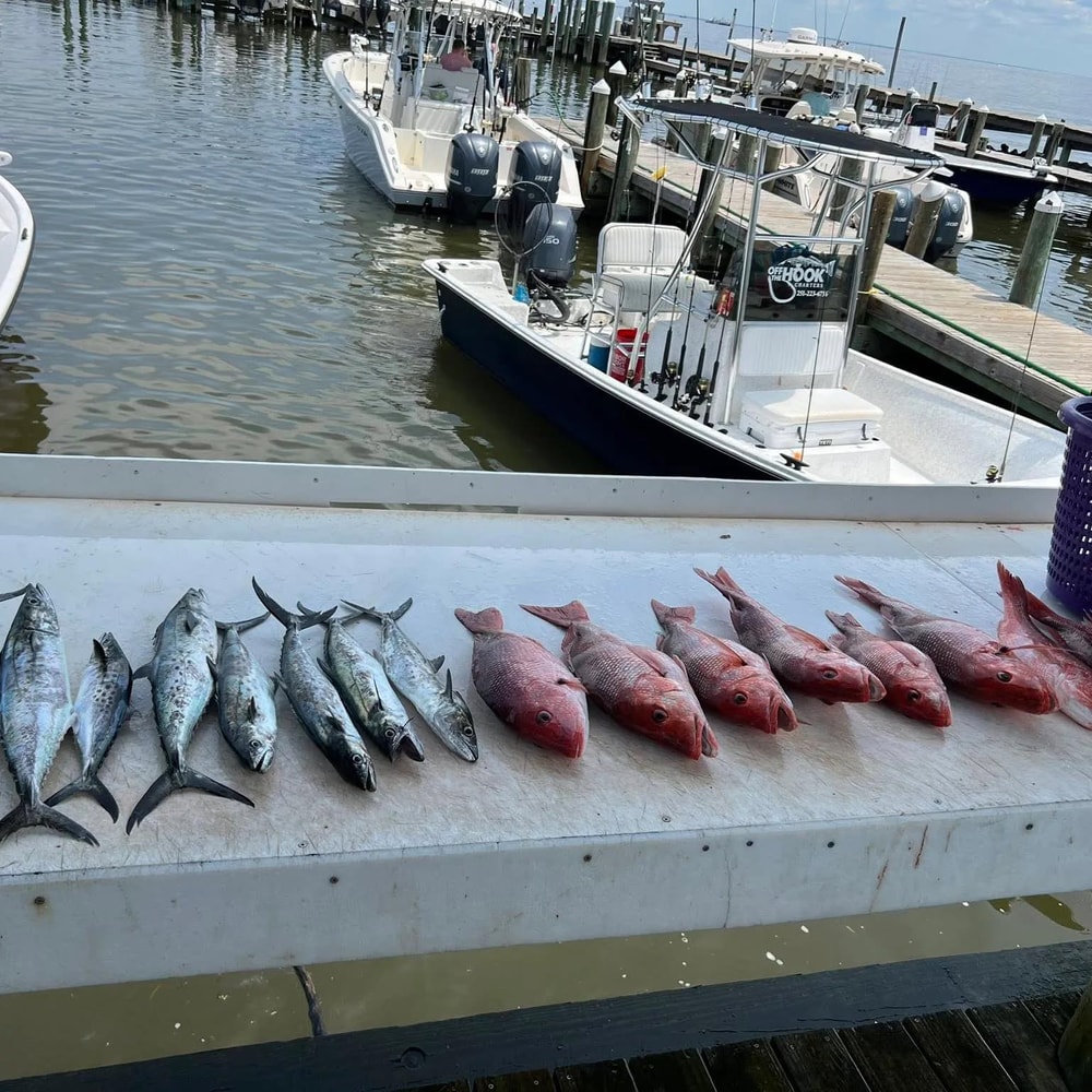 Fishing in Destin