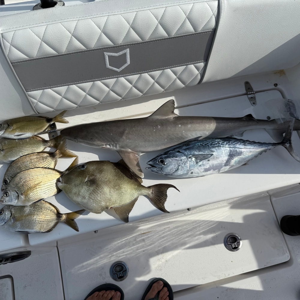 Fishing in Destin