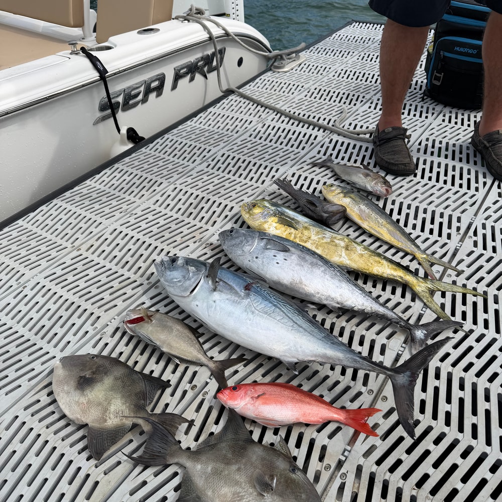 Fishing in Destin