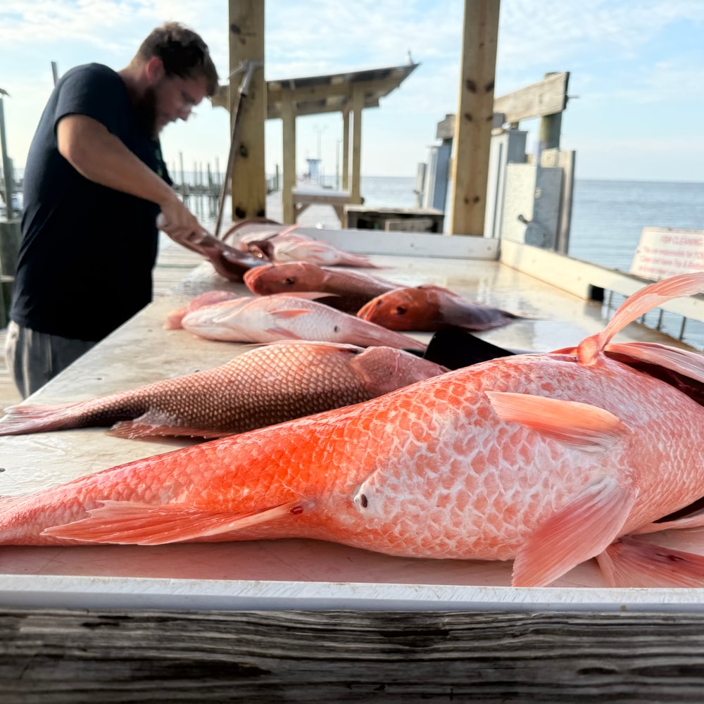 Fishing in Destin