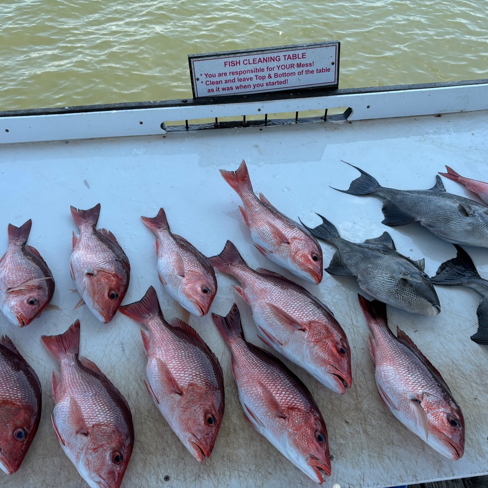Fishing in Destin