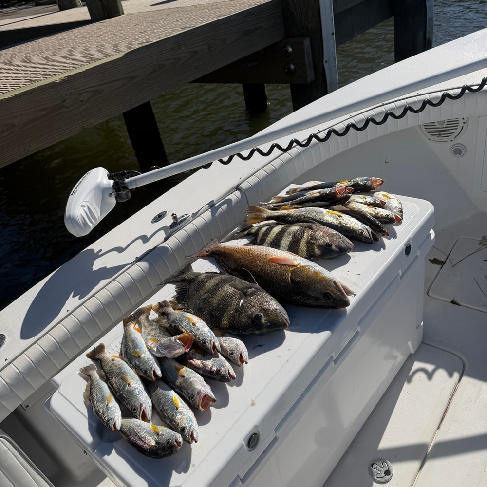 Fishing in Destin