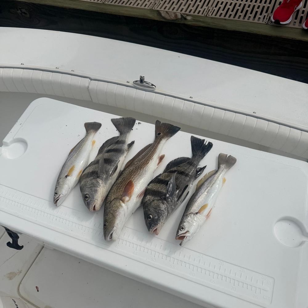 Fishing in Destin