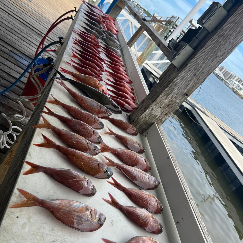 Fishing in Destin