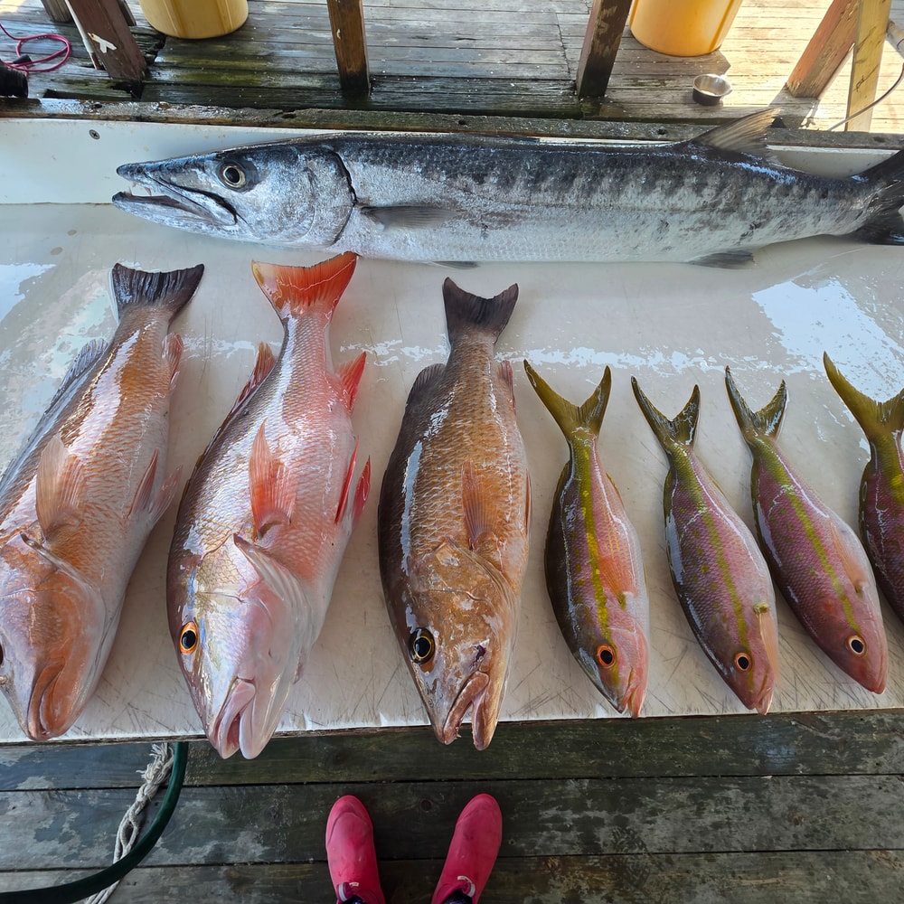 Fishing in Destin