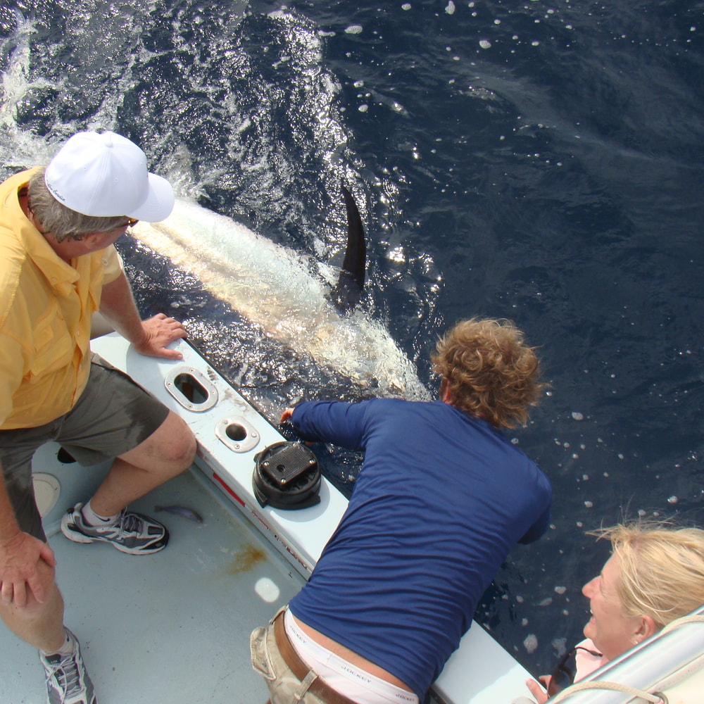 Fishing in Destin