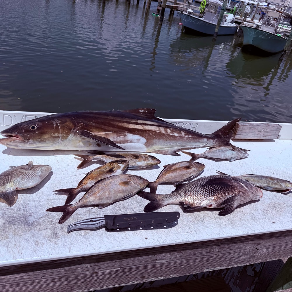 Fishing in Destin