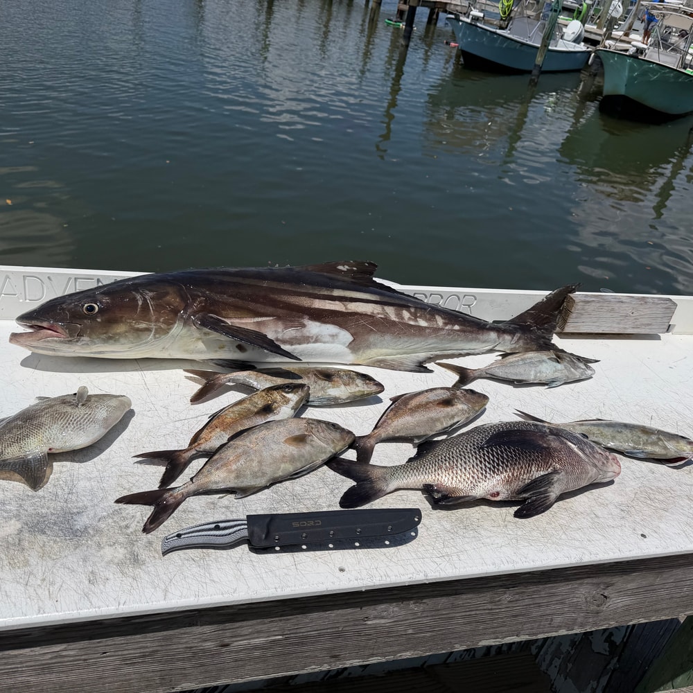 Fishing in Destin