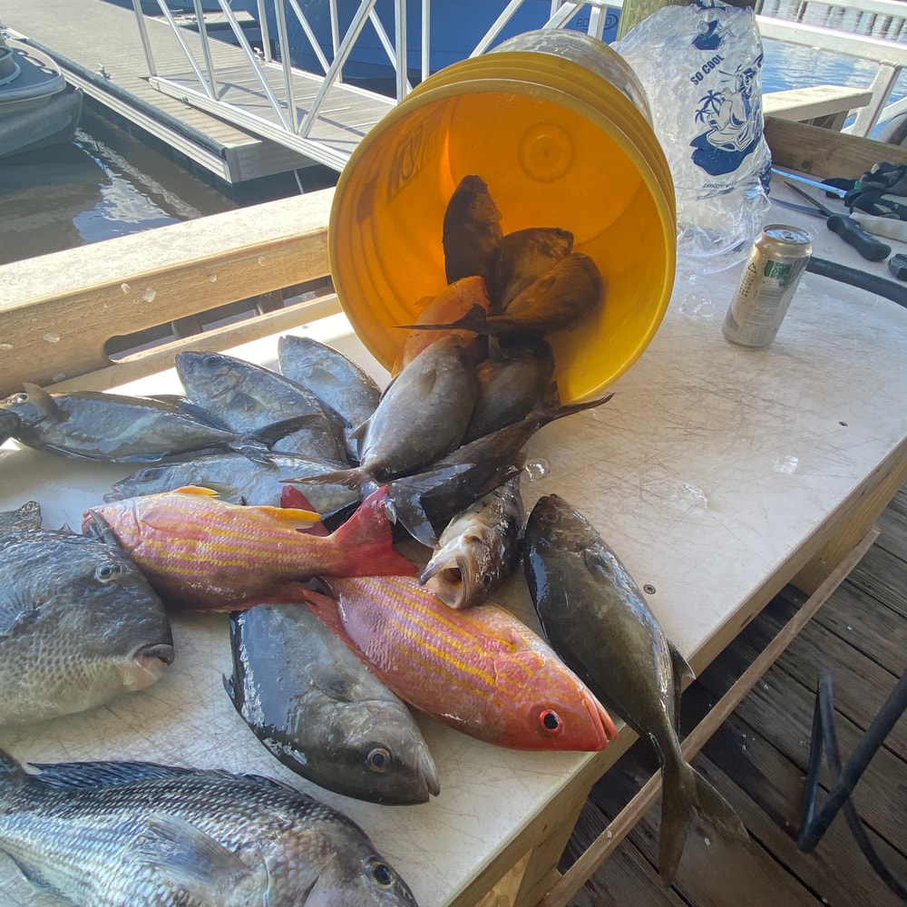 Fishing in Destin