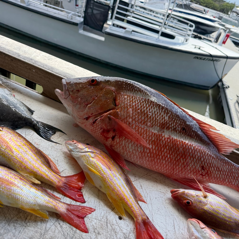 Fishing in Destin