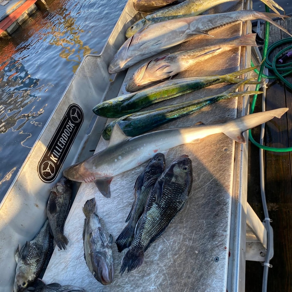 Fishing in Destin