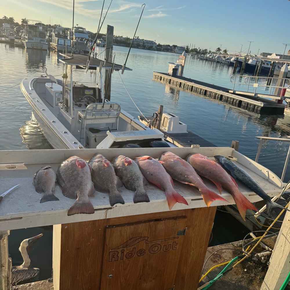 Fishing in Destin