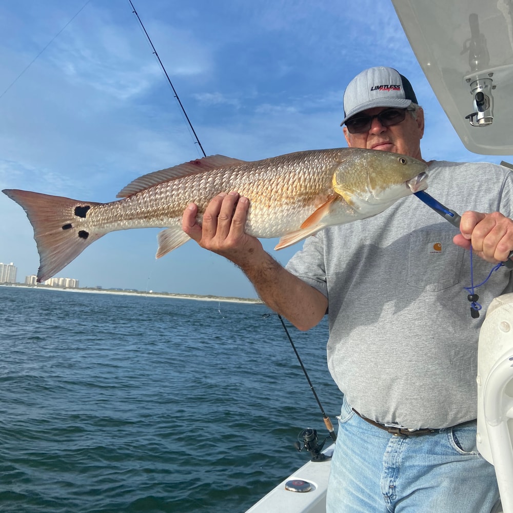 Fishing in Destin