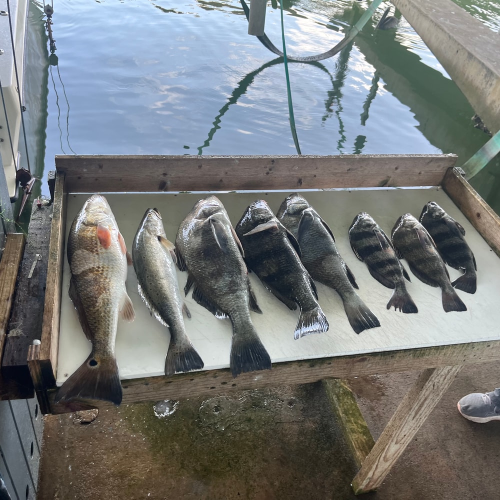Fishing in Destin