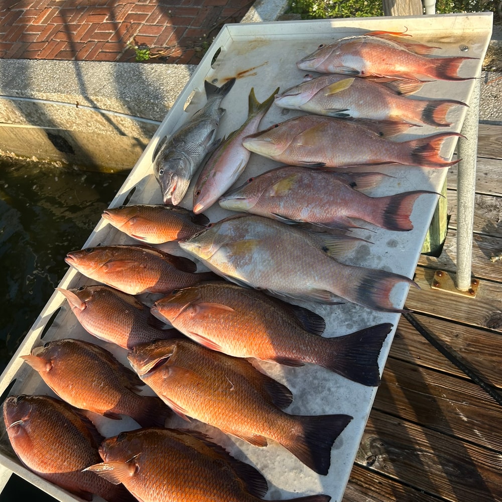 Fishing in Destin