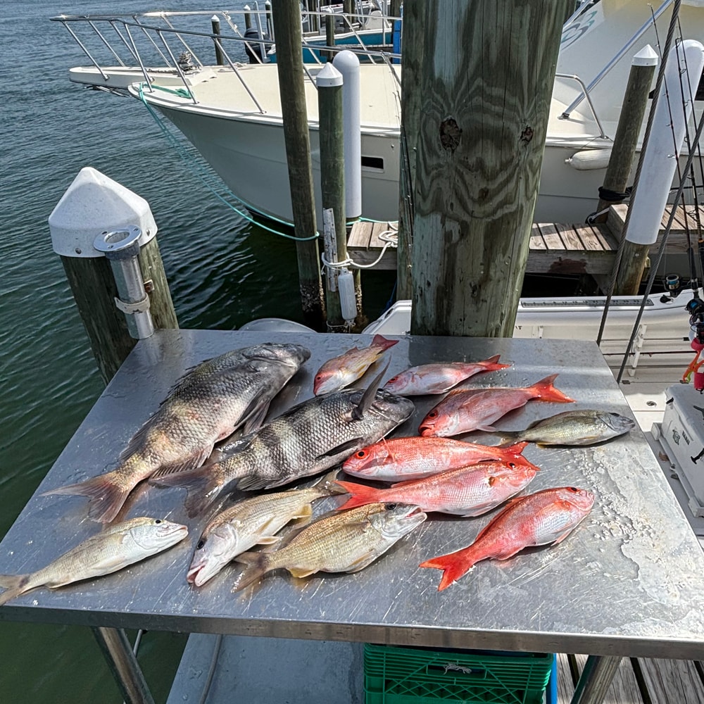 Fishing in Destin