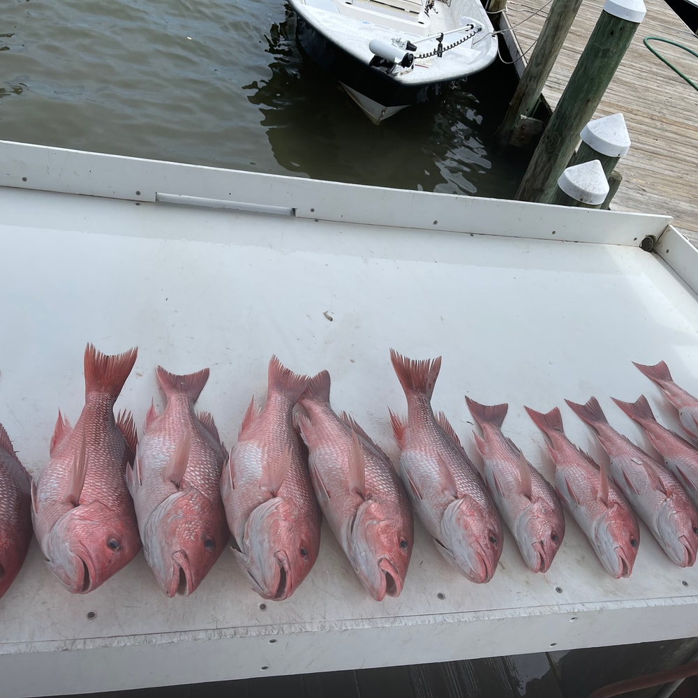 Fishing in Destin