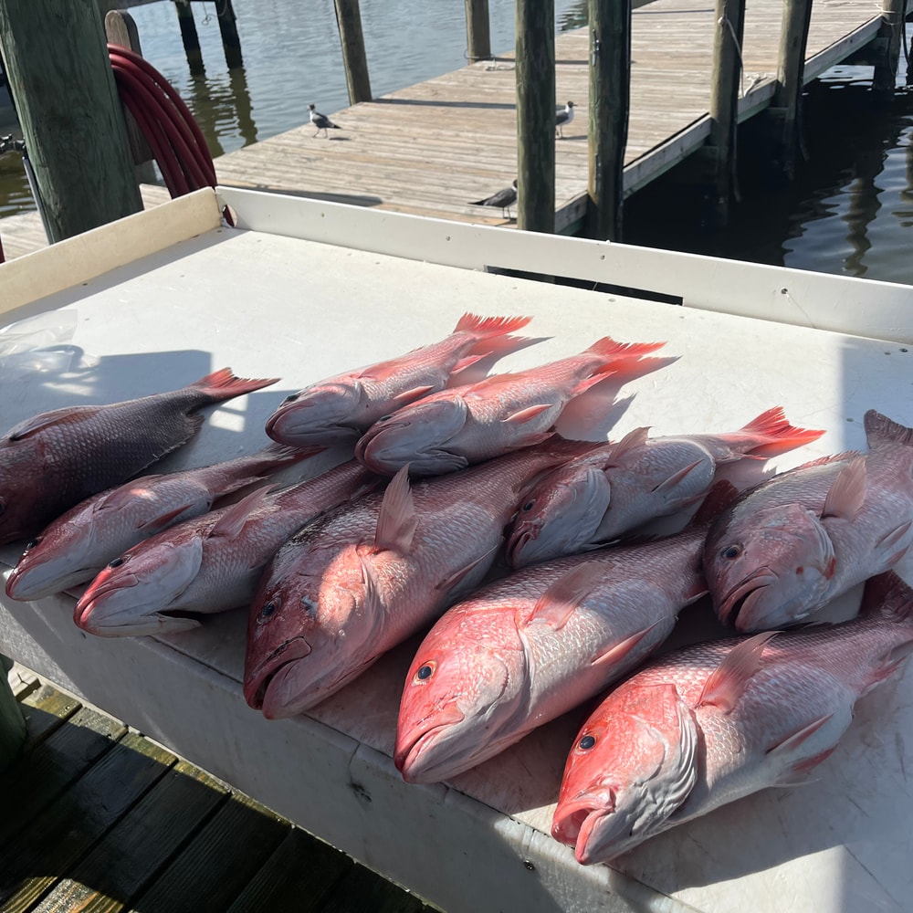 Fishing in Destin