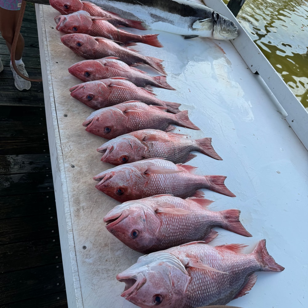 Fishing in Destin