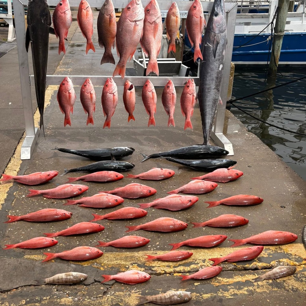 Fishing in Destin