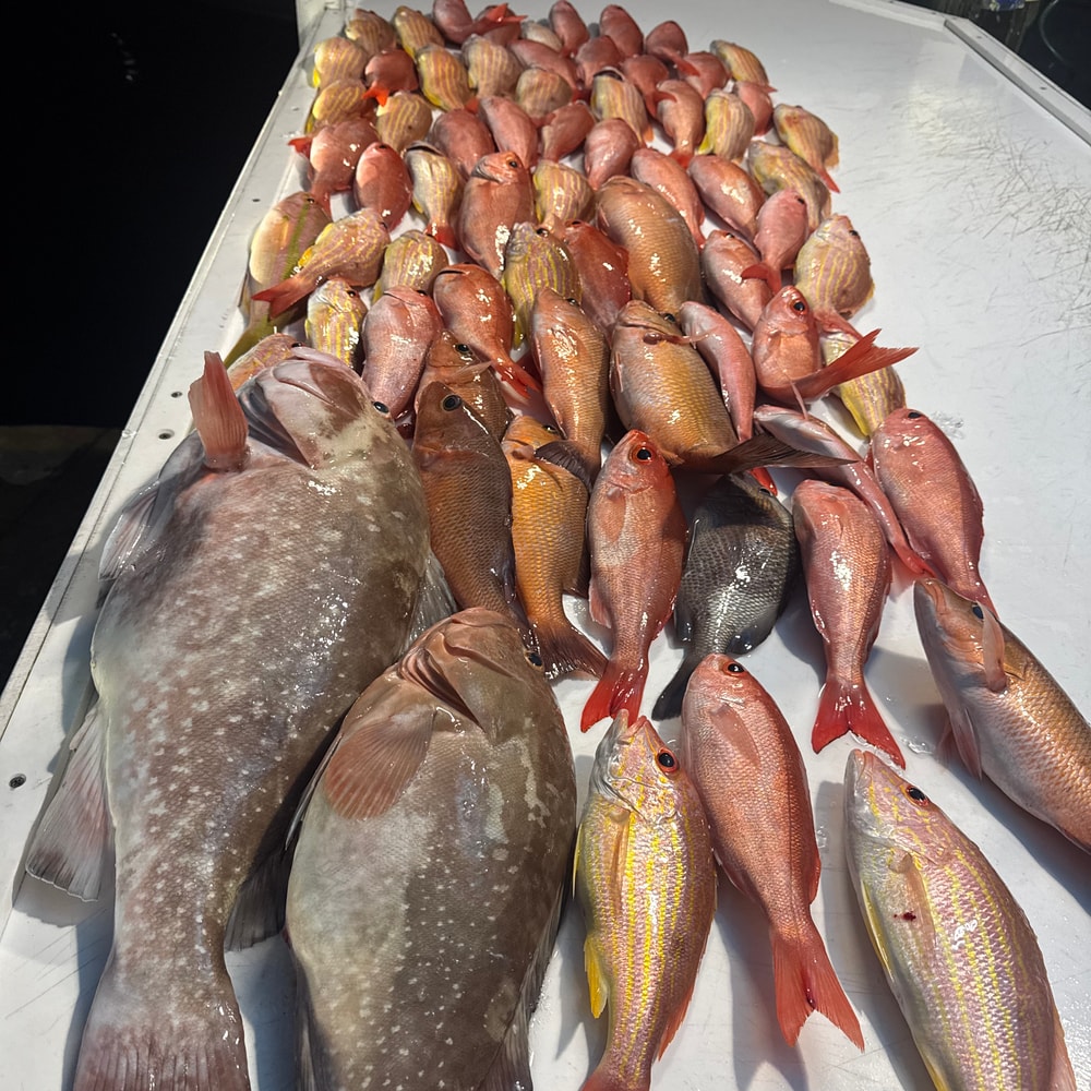 Fishing in Destin