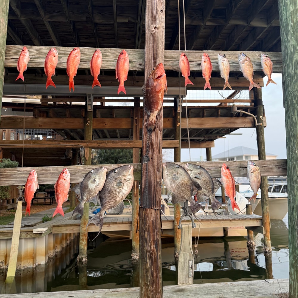 Fishing in Destin