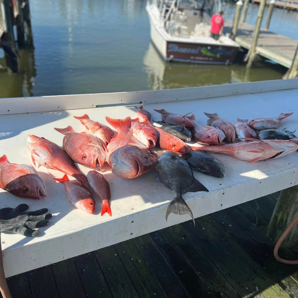 Fishing in Destin