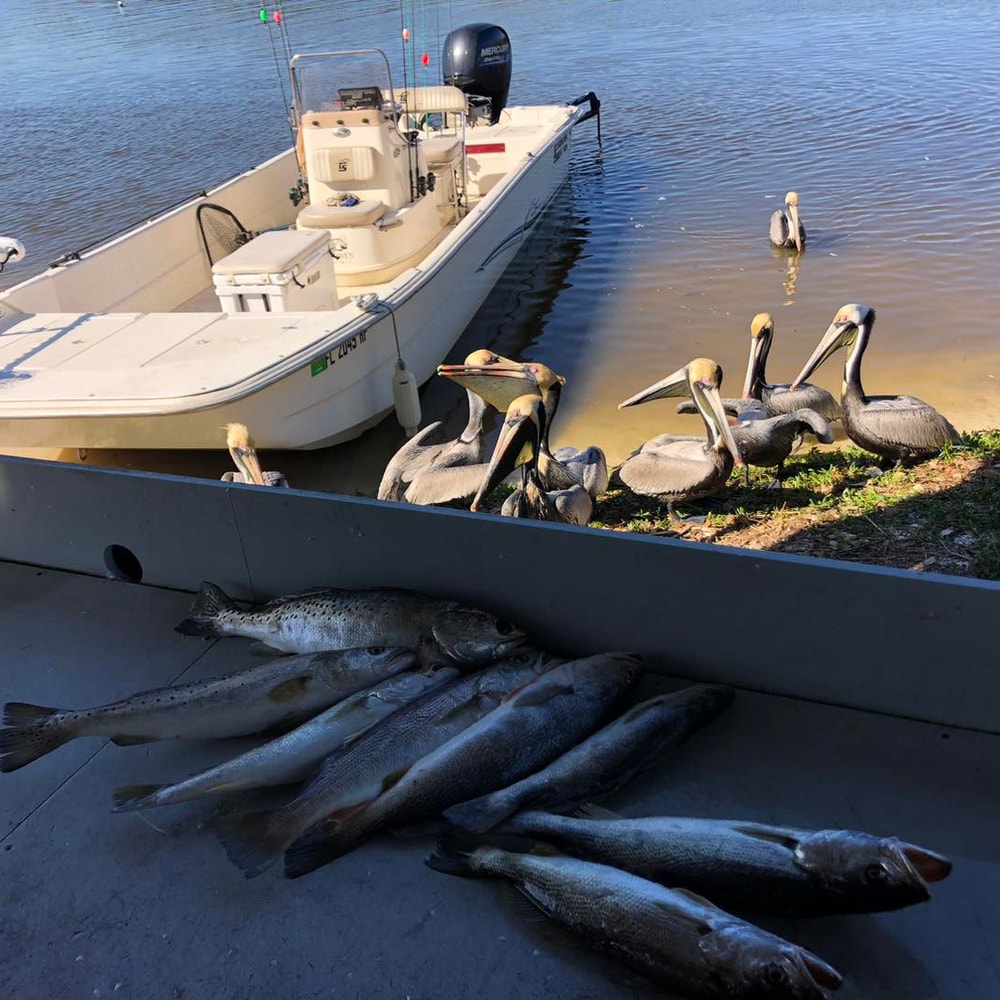 Fishing in Destin