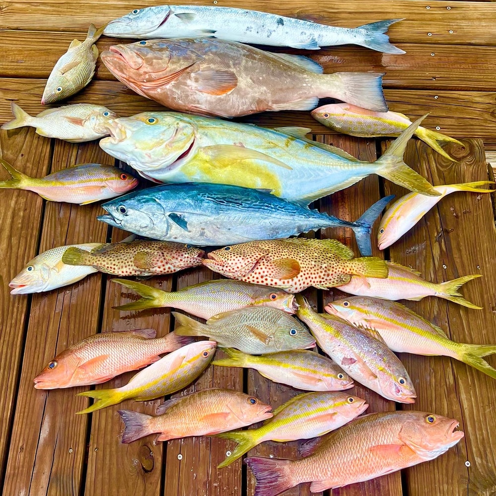 Fishing in Destin