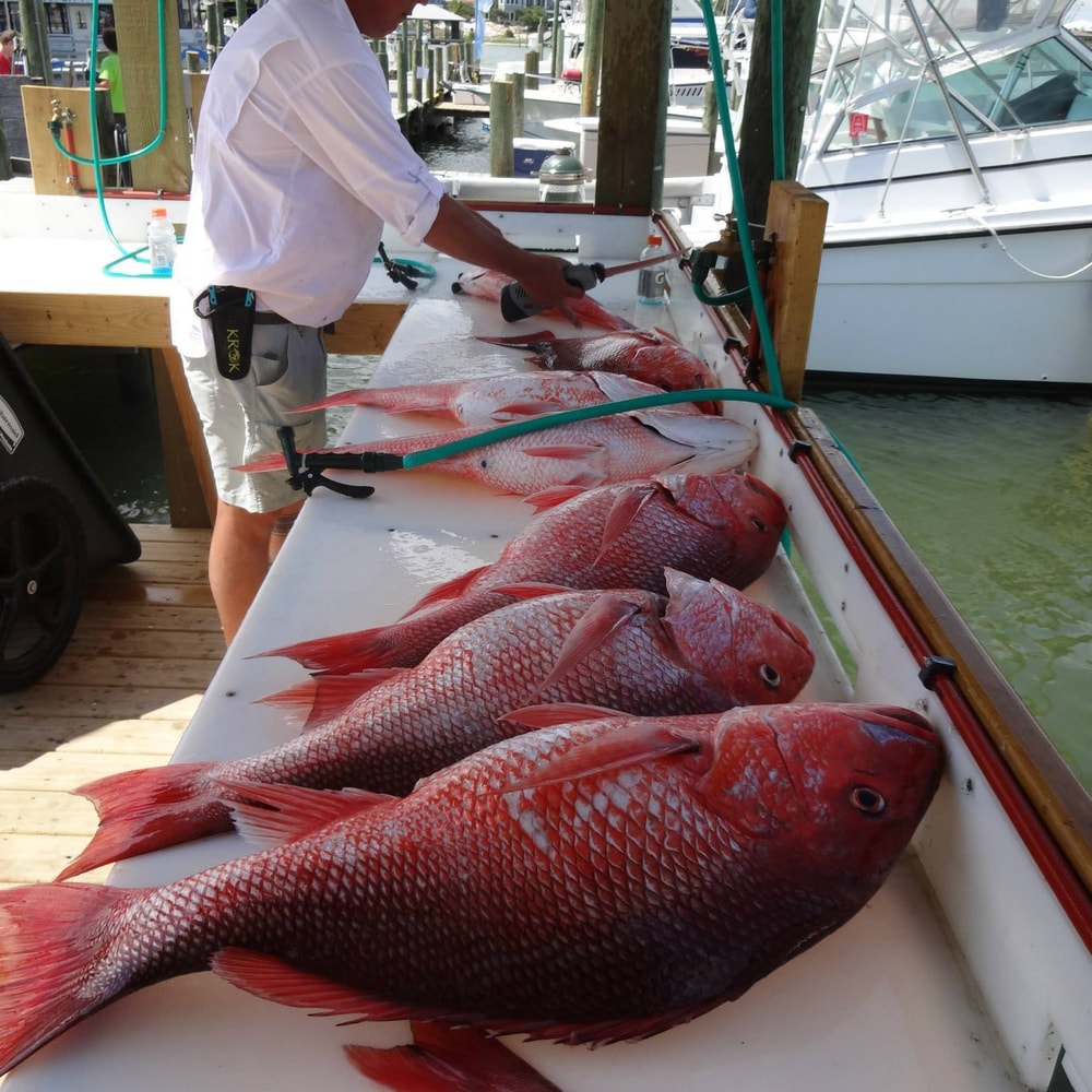 Fishing in Destin