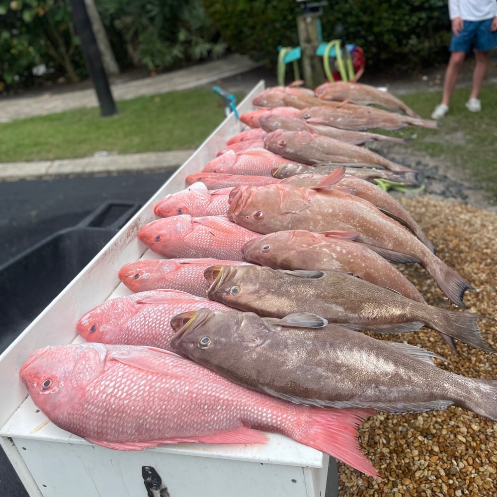 Fishing in Destin