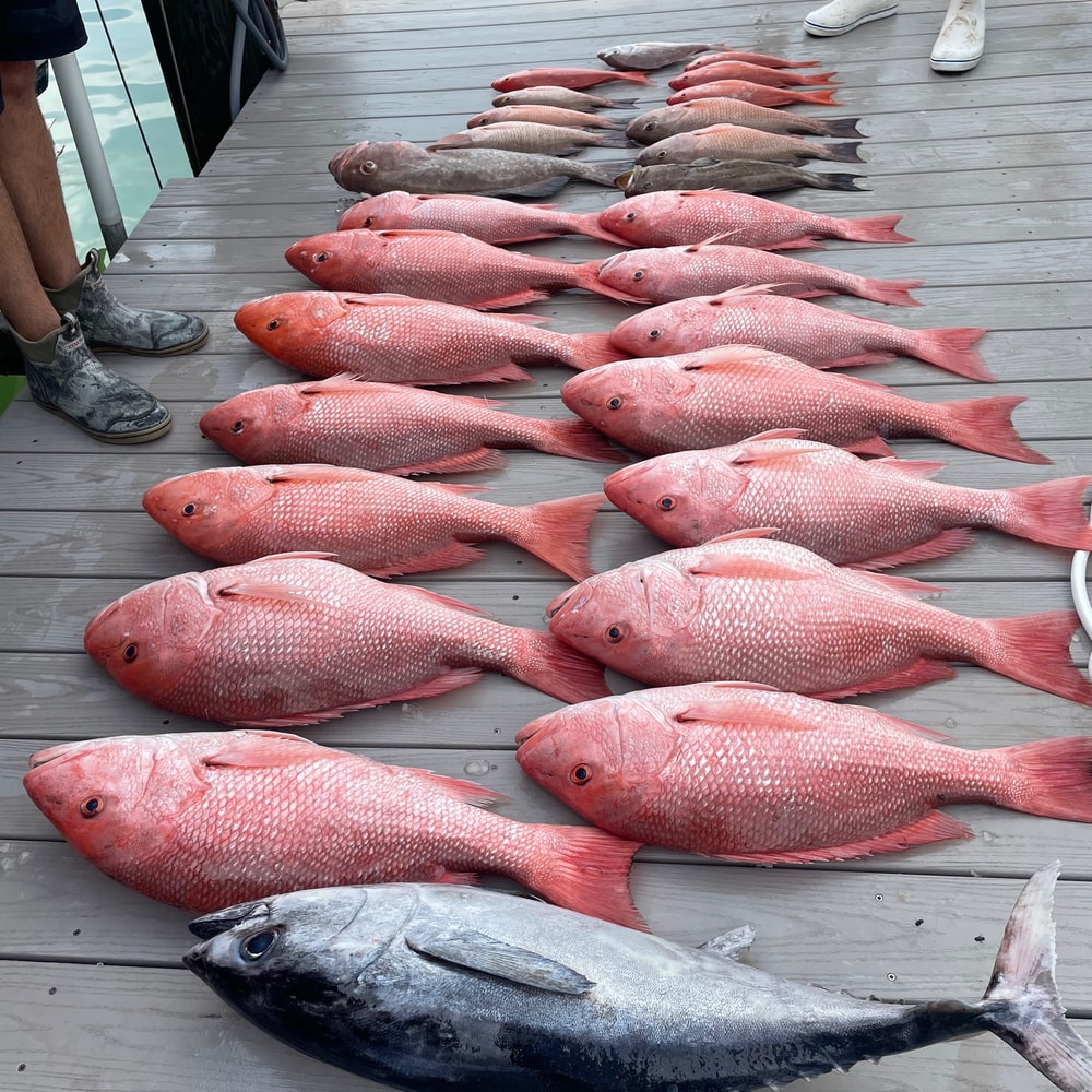 Fishing in Destin