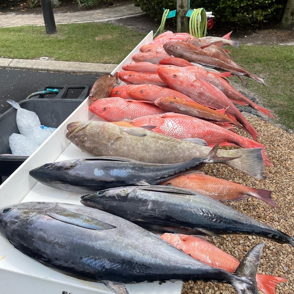 Fishing in Destin