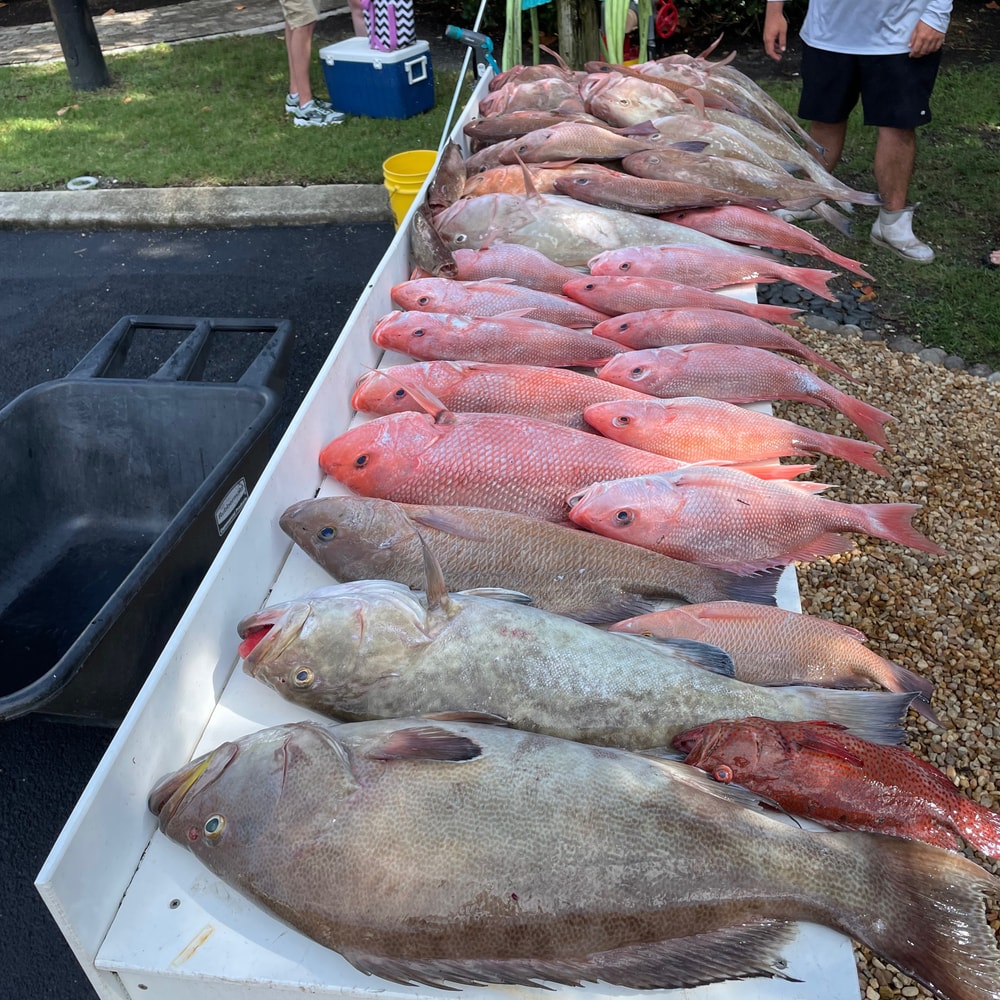 Fishing in Destin