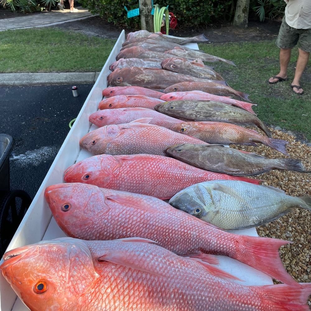 Fishing in Destin