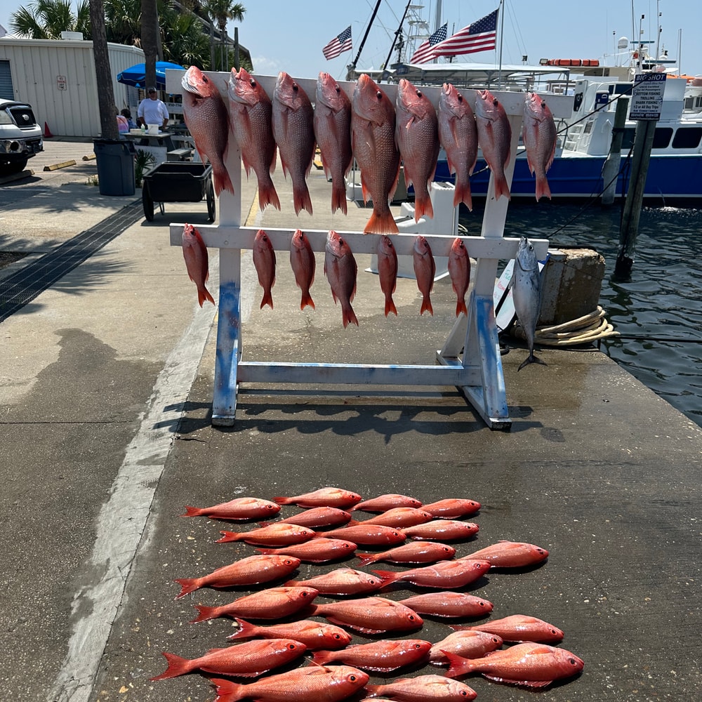 Fishing in Destin