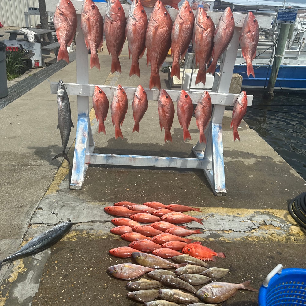 Fishing in Destin