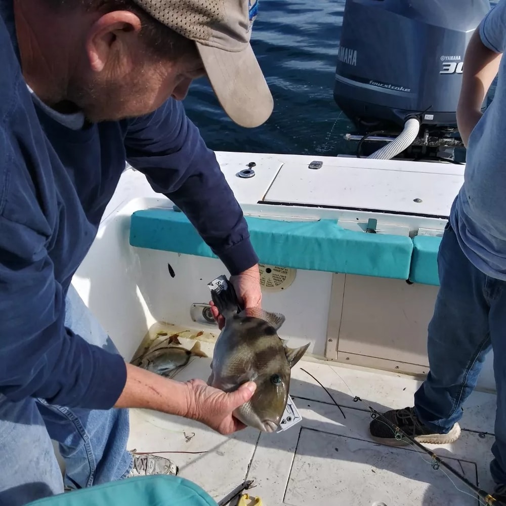 Fishing in Destin