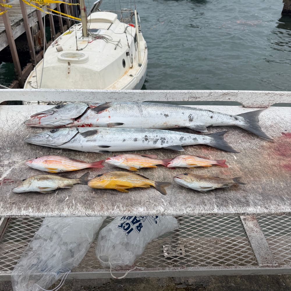 Fishing in Destin