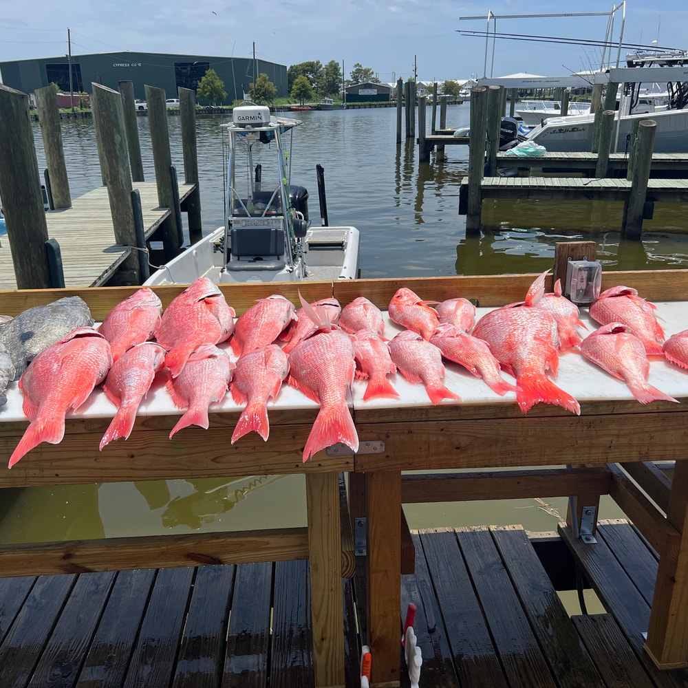 Fishing in Destin
