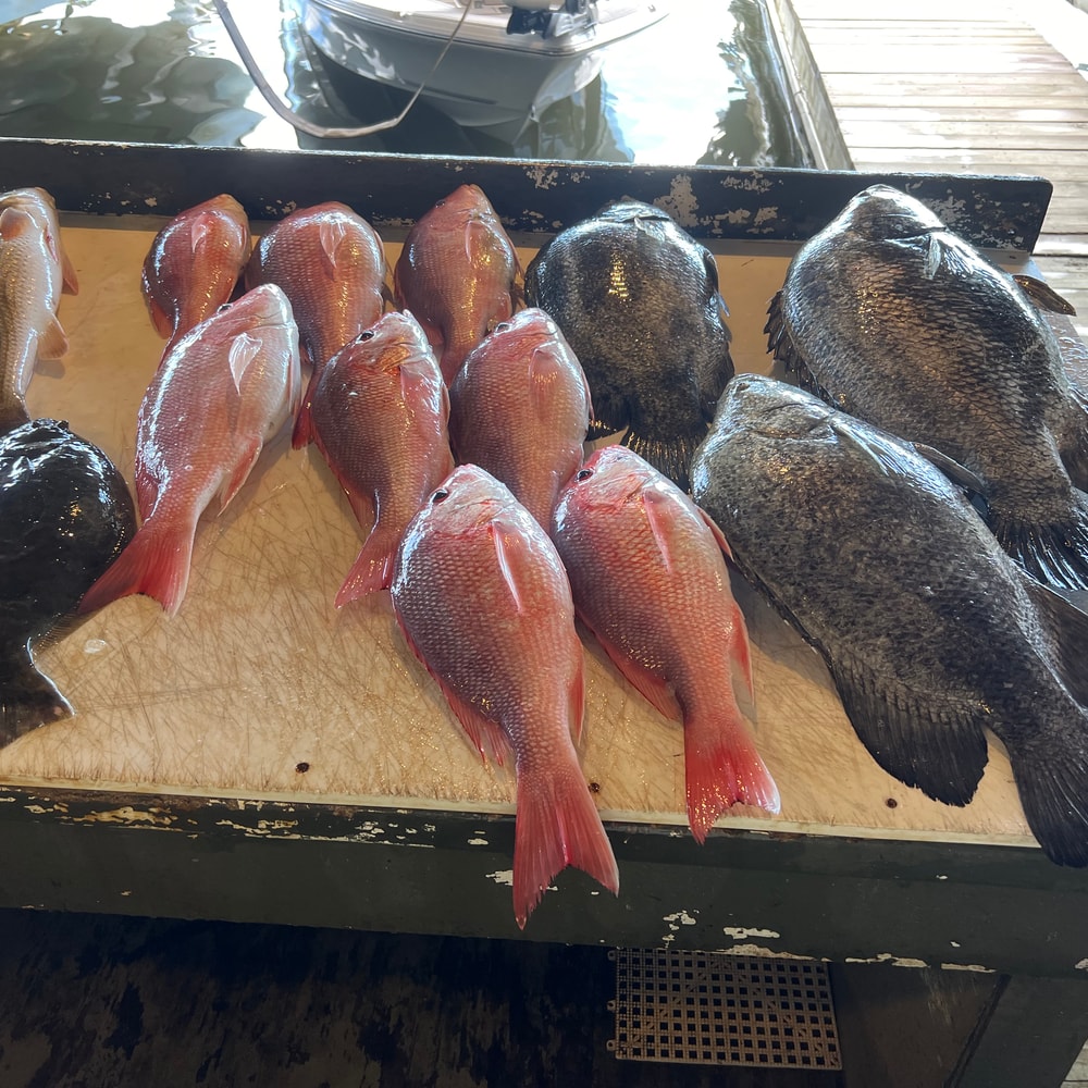 Fishing in Destin