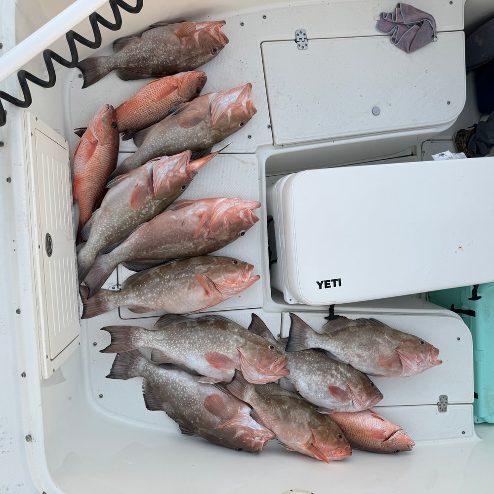 Fishing in Destin