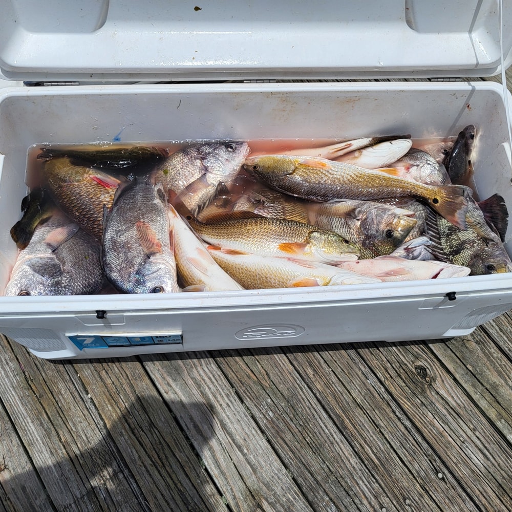 Fishing in Destin