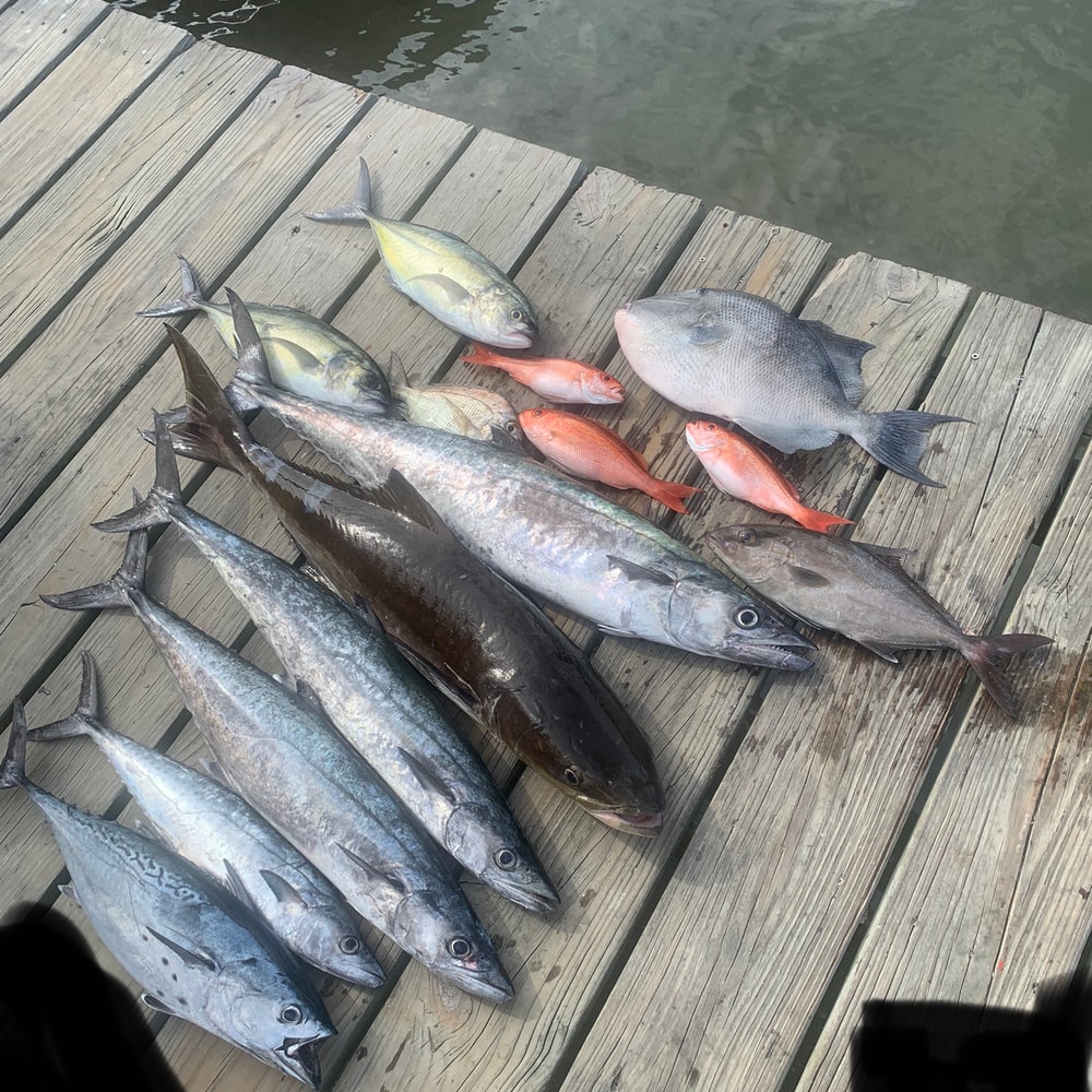 Fishing in Destin