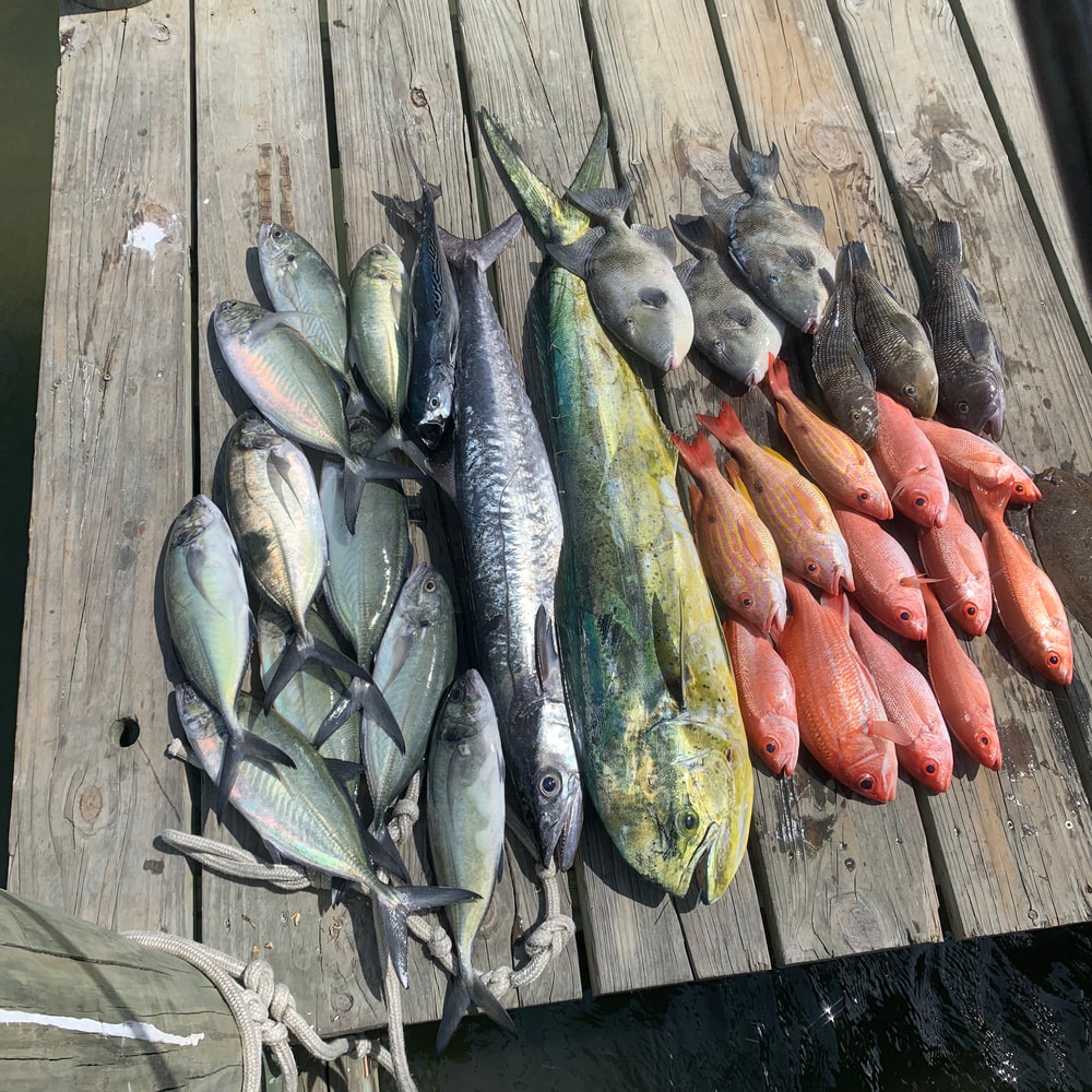Fishing in Destin